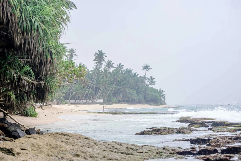 a man riding a surfboard on top of a sandy beach, hurufiyya, exotic trees, rain and haze, travel guide, sri lankan landscape