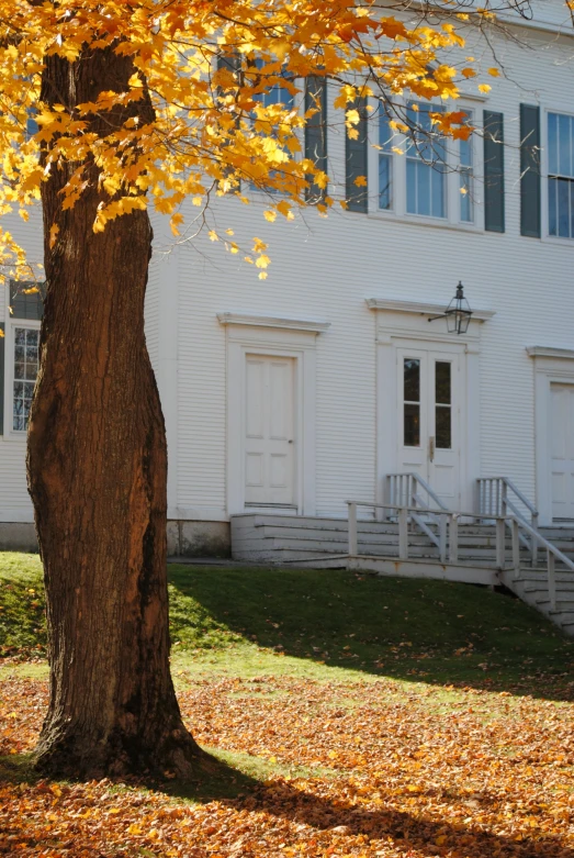 a large white building with a tree in front of it, inspired by Elbridge Ayer Burbank, heidelberg school, vermont fall colors, doors, theatrical, steps