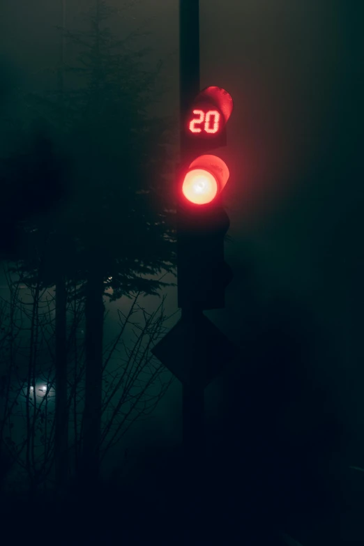 a red traffic light sitting on the side of a road, an album cover, inspired by Elsa Bleda, dark fog, 2030, cyberpunk signs, night in a dark forest