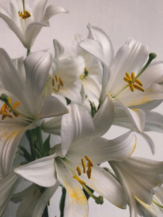 a vase filled with white flowers on top of a table, a photorealistic painting, by Ben Zoeller, trending on unsplash, photorealism, lily flower, closeup - view, agnes pelton, medium close up