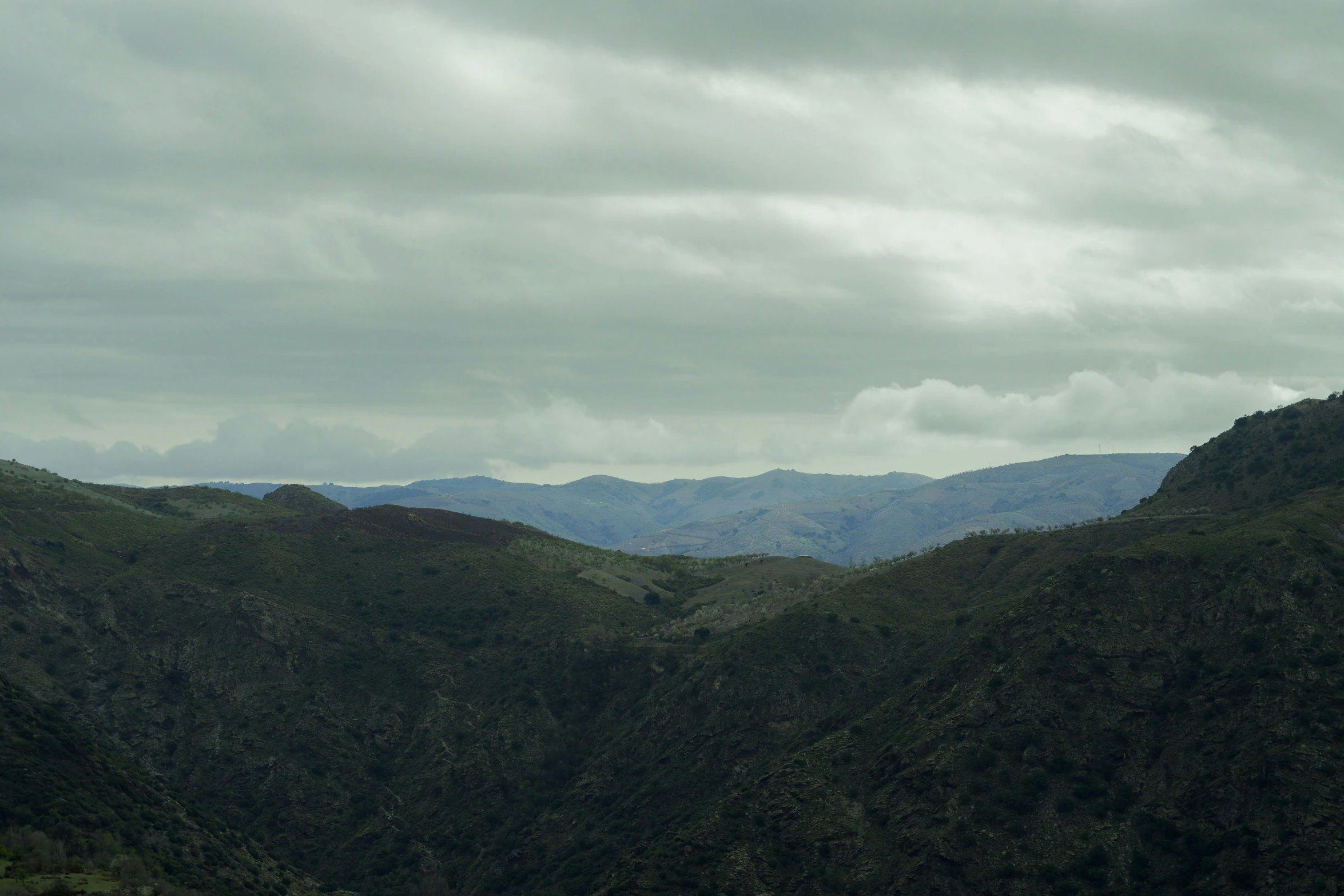 a couple of cows standing on top of a lush green hillside, by Peter Churcher, unsplash contest winner, les nabis, overcast gray skies, marbella landscape, 4 k cinematic panoramic view, over the hills