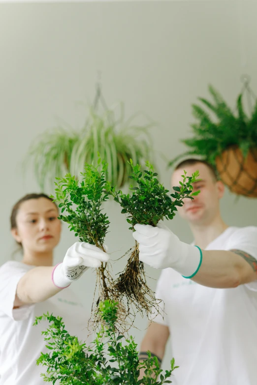 a couple of people standing next to a potted plant, hanging gardens, covered with roots, plating, natural hands and arms