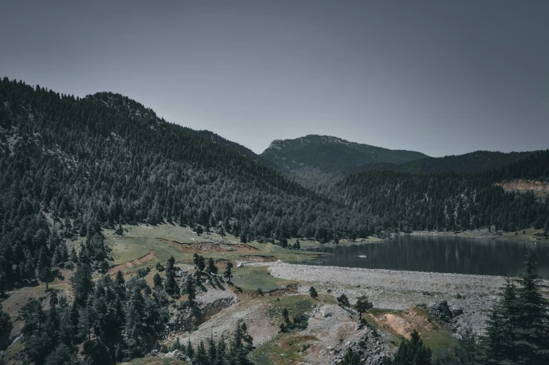 a large body of water surrounded by trees, a photo, unsplash contest winner, les nabis, grey, mountainside, 2 5 6 x 2 5 6 pixels, arrendajo in avila pinewood