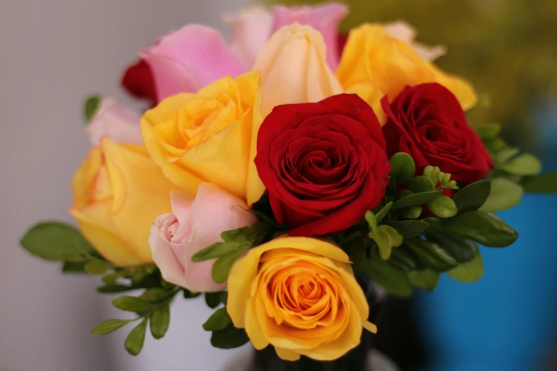 a vase filled with lots of different colored roses, pexels, red and yellow, medium close up, unedited, blushing