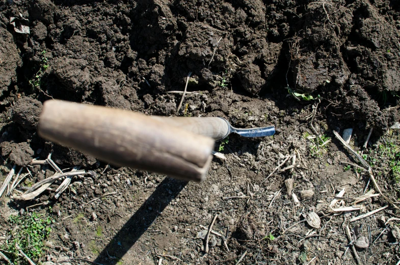 a tool that is laying in the dirt, holding a wooden staff, profile image, close up image, planted charge