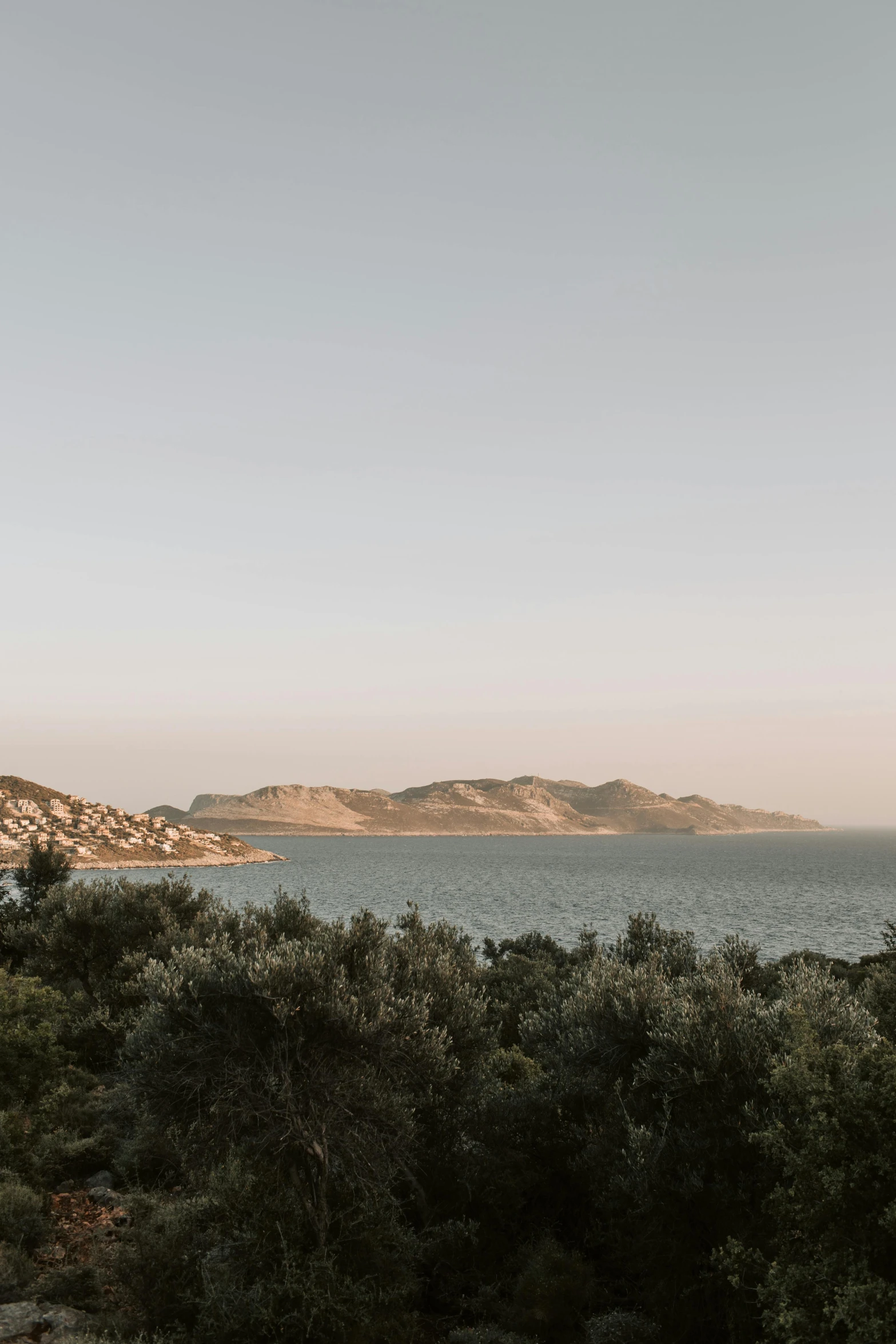 a large body of water surrounded by trees, trending on unsplash, les nabis, hills and ocean, manuka, calm evening, mediterranean