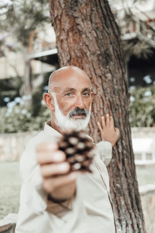 a man holding a pine cone in front of a tree, inspired by Agustín Fernández, pexels contest winner, hyperrealism, bald head and white beard, gal yosef, looking towards camera, attractive and good looking