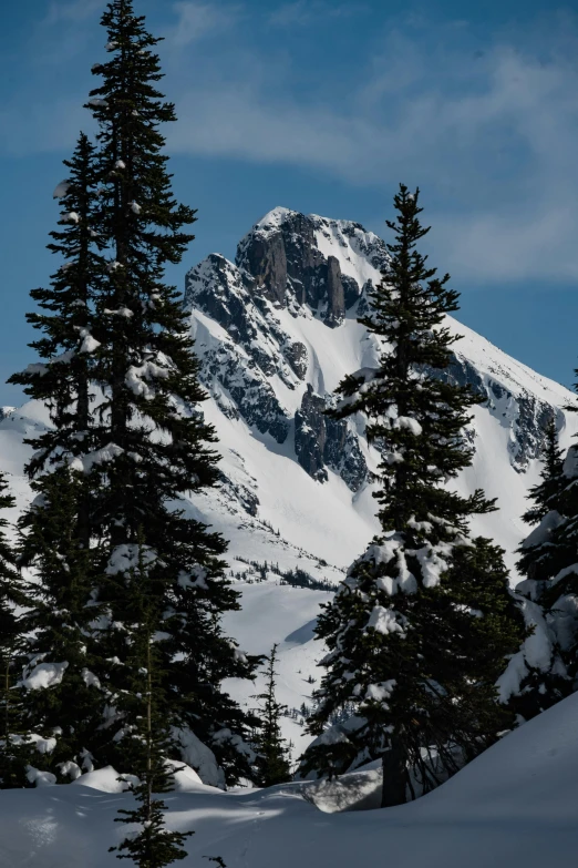 a man riding skis down a snow covered slope, a picture, by Jim Nelson, trending on unsplash, les nabis, giant imposing mountain, pacific northwest coast, seen from a distance, slide show