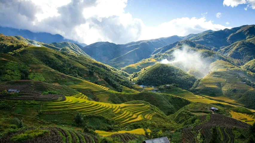 a group of people standing on top of a lush green hillside, vietnam, avatar image, staggered terraces, mountain ranges