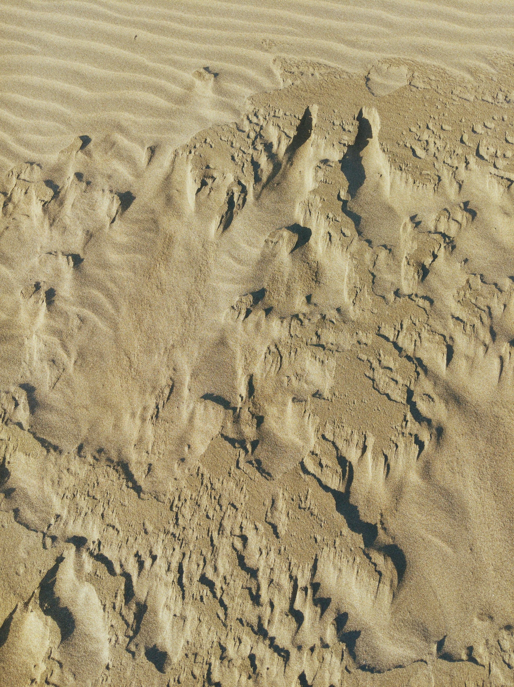 a man riding a surfboard on top of a sandy beach, by James Morris, pexels contest winner, land art, 4 k seamless mud texture, high texture detail), topographic scan, 4k)