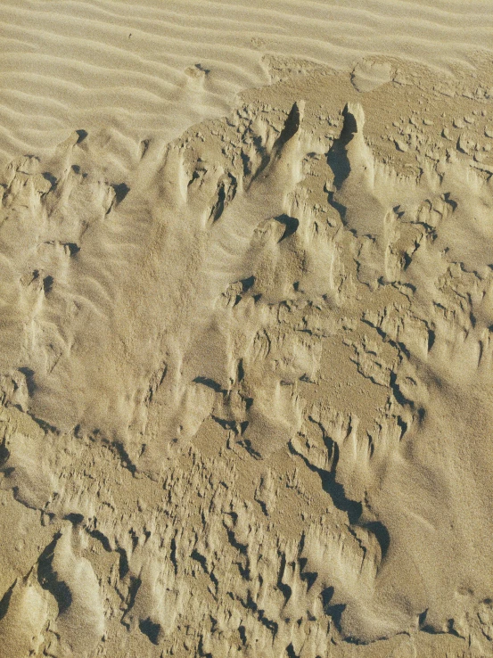 a man riding a surfboard on top of a sandy beach, by James Morris, pexels contest winner, land art, 4 k seamless mud texture, high texture detail), topographic scan, 4k)