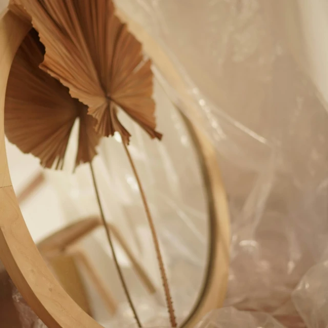 a close up of a mirror with a flower in it, an abstract sculpture, by Emma Andijewska, hurufiyya, dried palmtrees, fan favorite, beige, promo material