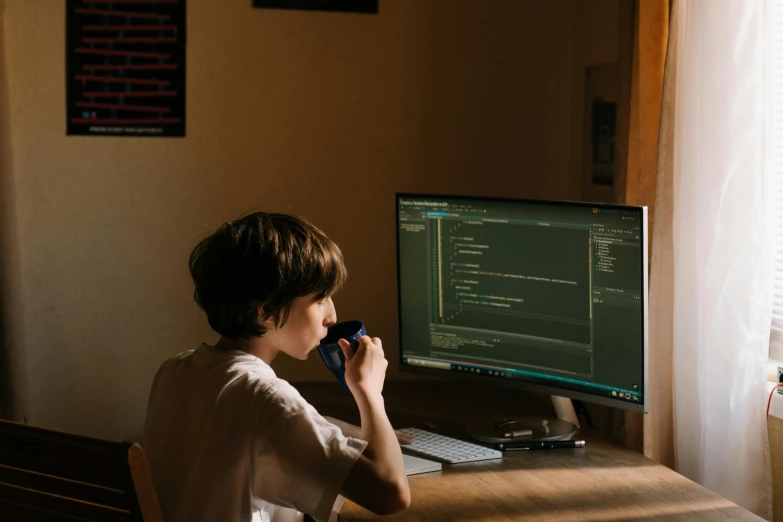 a boy sitting at a desk in front of a computer, a computer rendering, pexels, a python programmer's despair, ƒ/5.0, fan favorite, mining