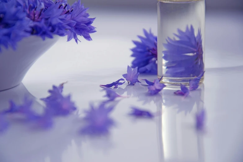 a white bowl filled with purple flowers next to a glass of water, unsplash, blue - petals, thistles, clean digital render, close up shot from the side