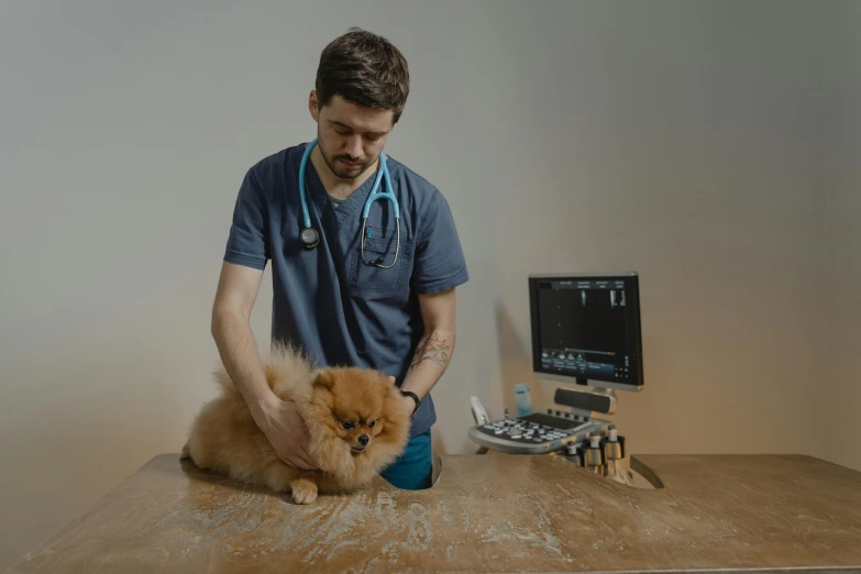 a man with a stethoscope examining a small dog, a colorized photo, by Julia Pishtar, pexels contest winner, a wooden, in front of a computer, clean medical environment, fluffy body