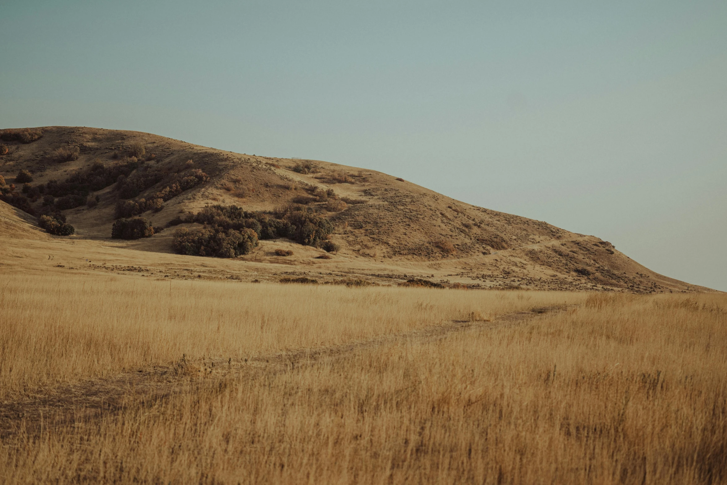 a grassy field with a hill in the background, unsplash, land art, brown, southern california, slight haze, instagram photo