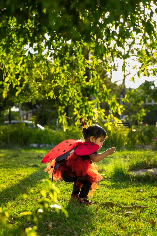 a little girl dressed in a lady bug costume, by Sven Erixson, pexels, visual art, flying trees and park items, back - lit, eric carle, medium format. soft light