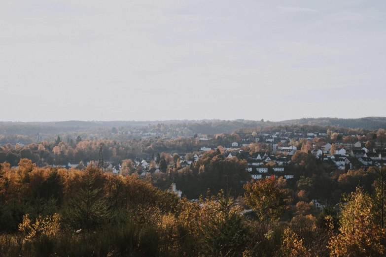 a view of a city from the top of a hill, by Tobias Stimmer, happening, muted fall colors, detmold, unsplash photography, shot on hasselblad