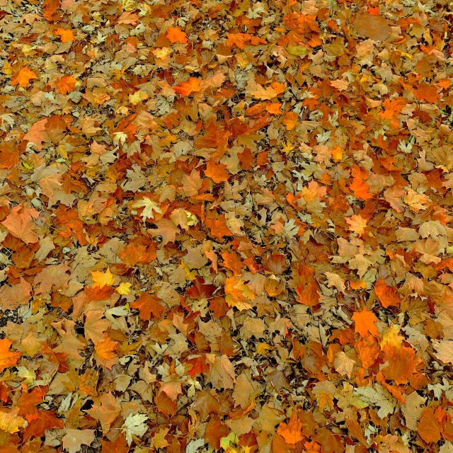 a red fire hydrant sitting on top of a pile of leaves, a digital rendering, by Jan Rustem, land art, stereogram, vermont fall colors, floor texture, pale orange colors