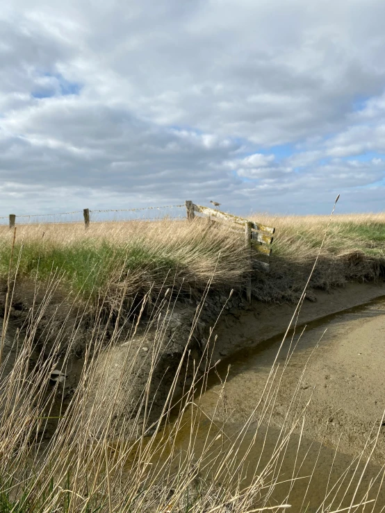 a body of water sitting on top of a sandy beach, a picture, by Jan Tengnagel, unsplash, land art, there is tall grass, railing along the canal, photo from the dig site, thumbnail