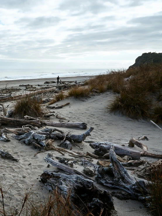 a man flying a kite on top of a sandy beach, inspired by William Trost Richards, unsplash, process art, some fallen trees, new zealand landscape, belongings strewn about, wide view