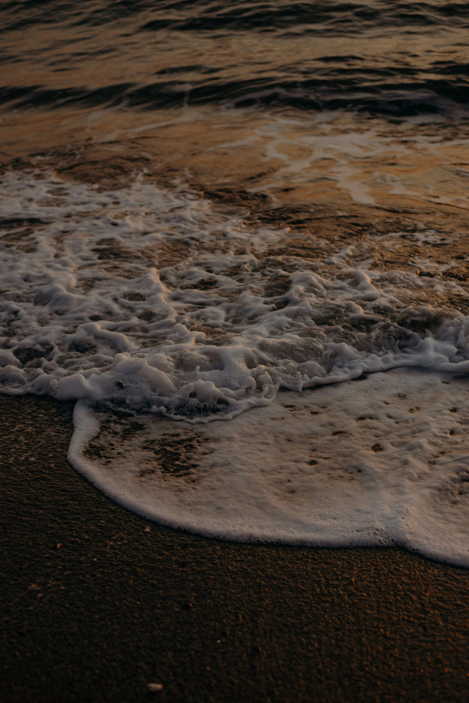 a surfboard sitting on top of a beach next to the ocean, an album cover, by Elsa Bleda, unsplash, renaissance, water ripples, evening at dusk, splash image, extremely sharply detailed