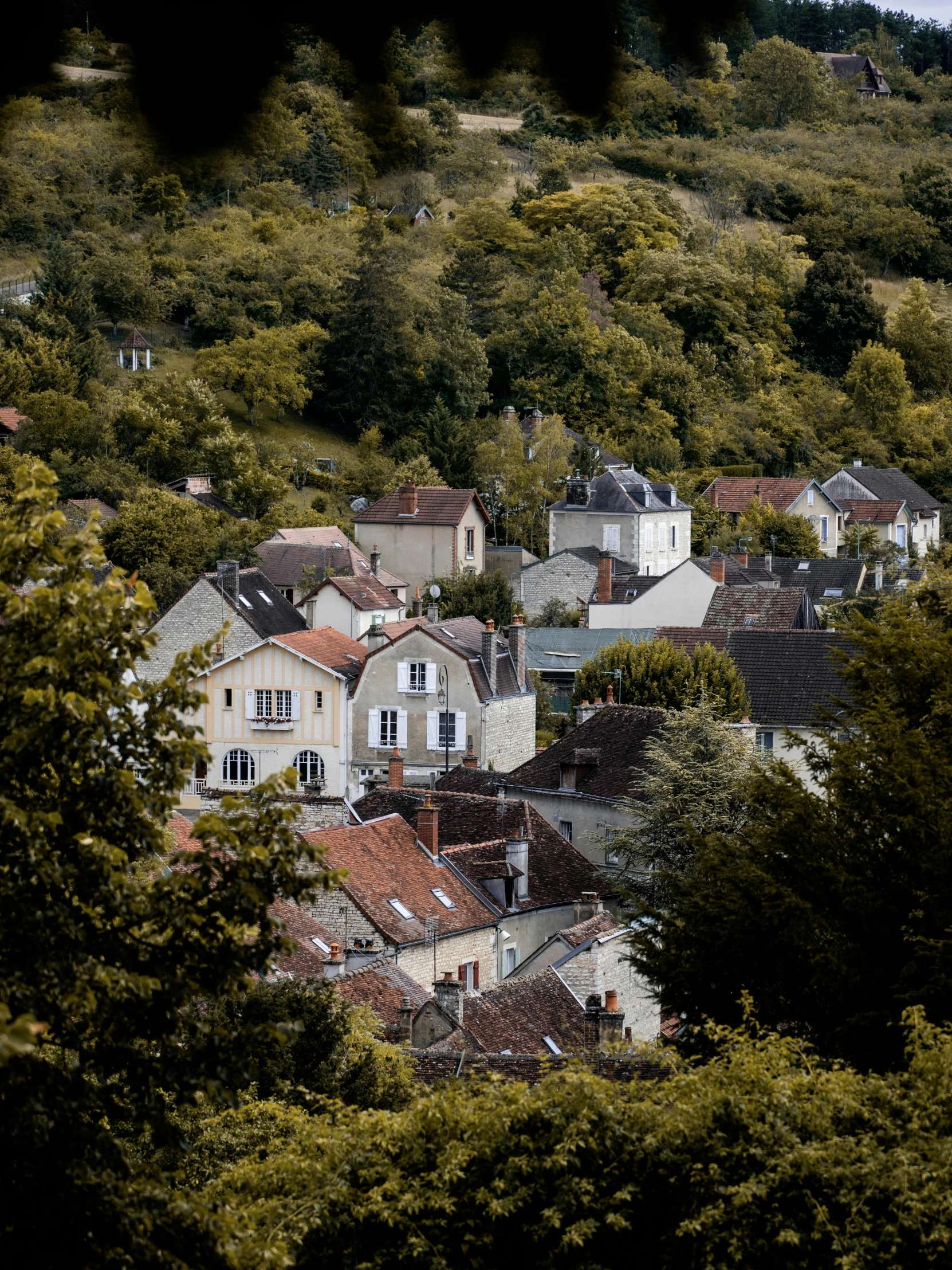 a group of houses sitting on top of a lush green hillside, by Raphaël Collin, pexels contest winner, les nabis, pur champagne damery, with dark trees in foreground, slide show, french village interior