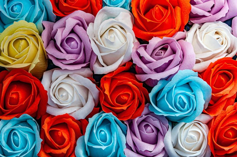 a close up of many different colored roses, a colorized photo, by Sam Dillemans, trending on unsplash, fan favorite, fuschia and vermillion and cyan, raphael personnaz, romantic lead