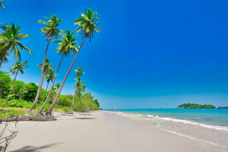 a beach with palm trees and a clear blue sky, by Thomas Baines, pexels contest winner, sumatraism, myanmar, slide show, ad image, 8k resolution”