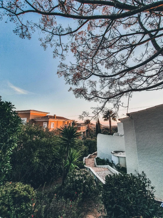 a man riding a skateboard up the side of a ramp, a picture, by Daniel Lieske, pexels contest winner, in a garden of a house, marbella landscape, early in the morning, bushes in the foreground