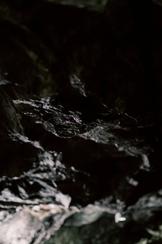 a bird is perched on a rock in the water, an album cover, by Jacob Toorenvliet, unsplash, conceptual art, black lung detail, very dark cave, 2 0 2 1 cinematic 4 k framegrab, micro detail 4k