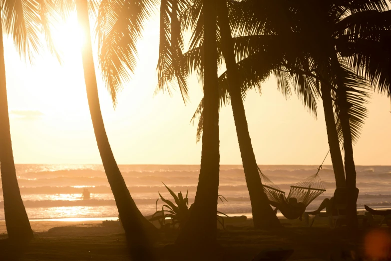 a person sitting in a hammock between two palm trees, pexels contest winner, on the beach at sunset, surf photography, gold hour light, thumbnail