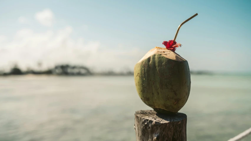 a coconut drink sitting on top of a wooden post, by Daniel Lieske, unsplash, background image, multiple stories, seaside, sri lanka