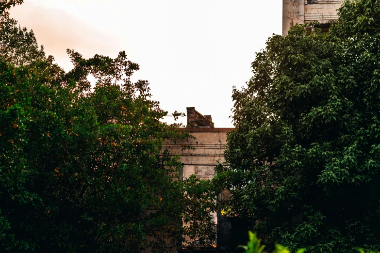 a tall clock tower towering over a lush green forest, pexels contest winner, australian tonalism, ancient ruins favela, pink marble building, berghain, view from ground
