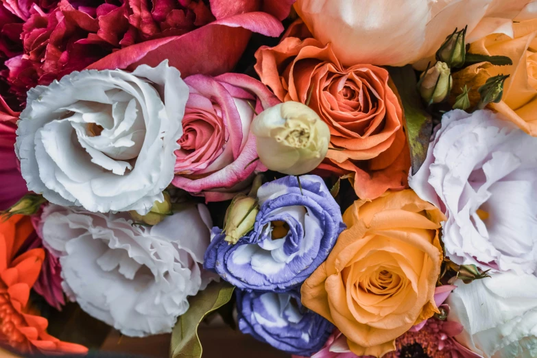 a close up of a bunch of flowers, laying on roses, colourful, up-close, in colour