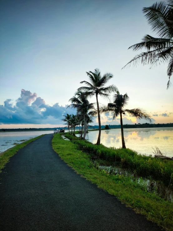 a road that is next to a body of water, hurufiyya, tree-lined path at sunset, with kerala motifs, conde nast traveler photo