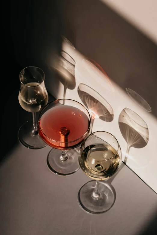 a group of wine glasses sitting on top of a table, a still life, by Carey Morris, pexels, holding a drink, shadows, bubbly, but minimalist