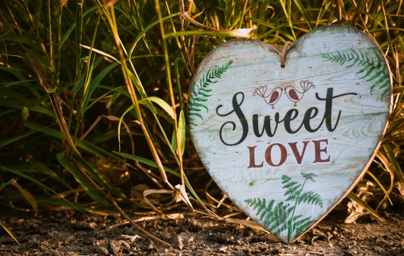 a wooden heart with the words sweet love written on it, by Gwen Barnard, pixabay, graffiti, gardening, avatar image, outdoor photo, background image