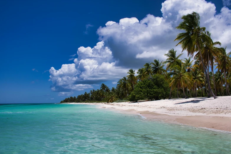 a beach with white sand and palm trees, pexels contest winner, hurufiyya, carribean turquoise water, thumbnail, spanish, low fi