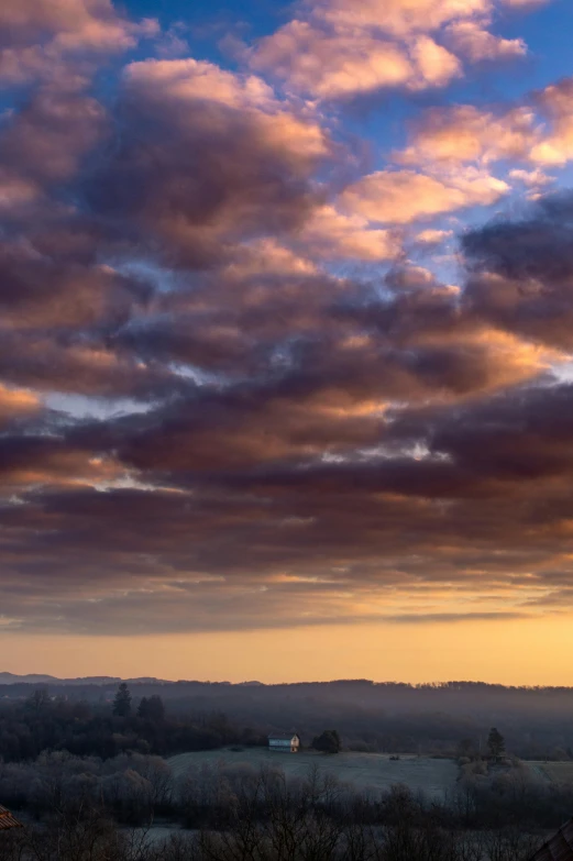 a couple of cows standing on top of a lush green field, by Jim Nelson, sunset panorama, hazy sunset with dramatic clouds, today\'s featured photograph 4k, oregon