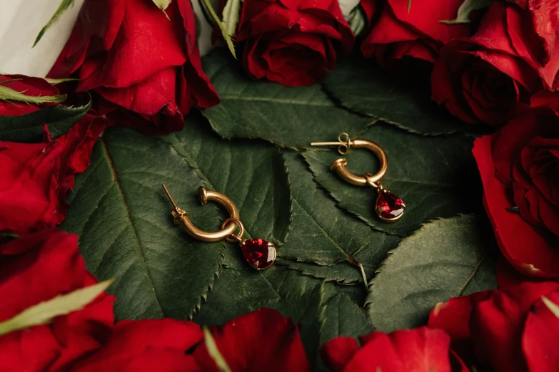 a close up of a bunch of red roses, a still life, by Julia Pishtar, pexels contest winner, romanticism, gold hoop earings, embedded with gemstones, miniature product photo, maroon red