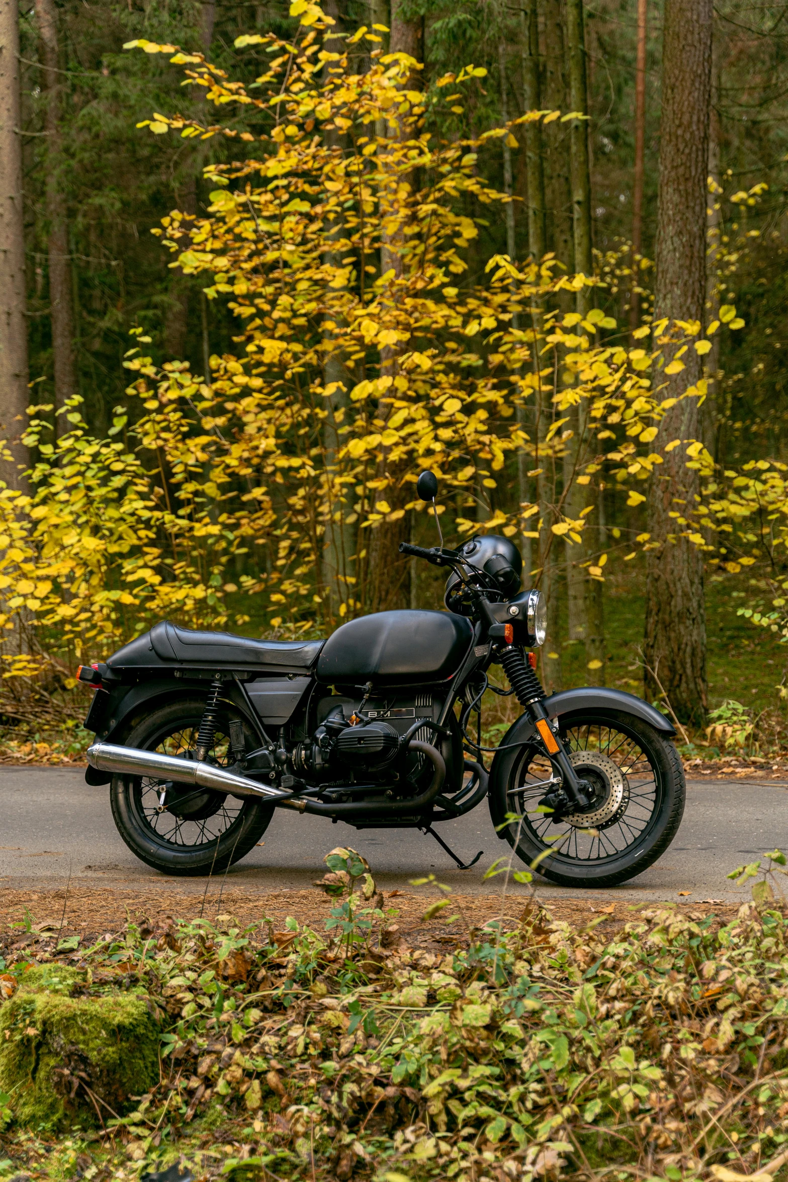 a motorcycle is parked on the side of the road, by Jaakko Mattila, unsplash, baroque, in the autumn forest, 2 5 6 x 2 5 6 pixels, main colour - black, midcentury modern