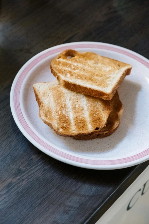 a plate with two pieces of toast on it, a portrait, unsplash, private press, a pair of ribbed, light tan, meaty, handheld