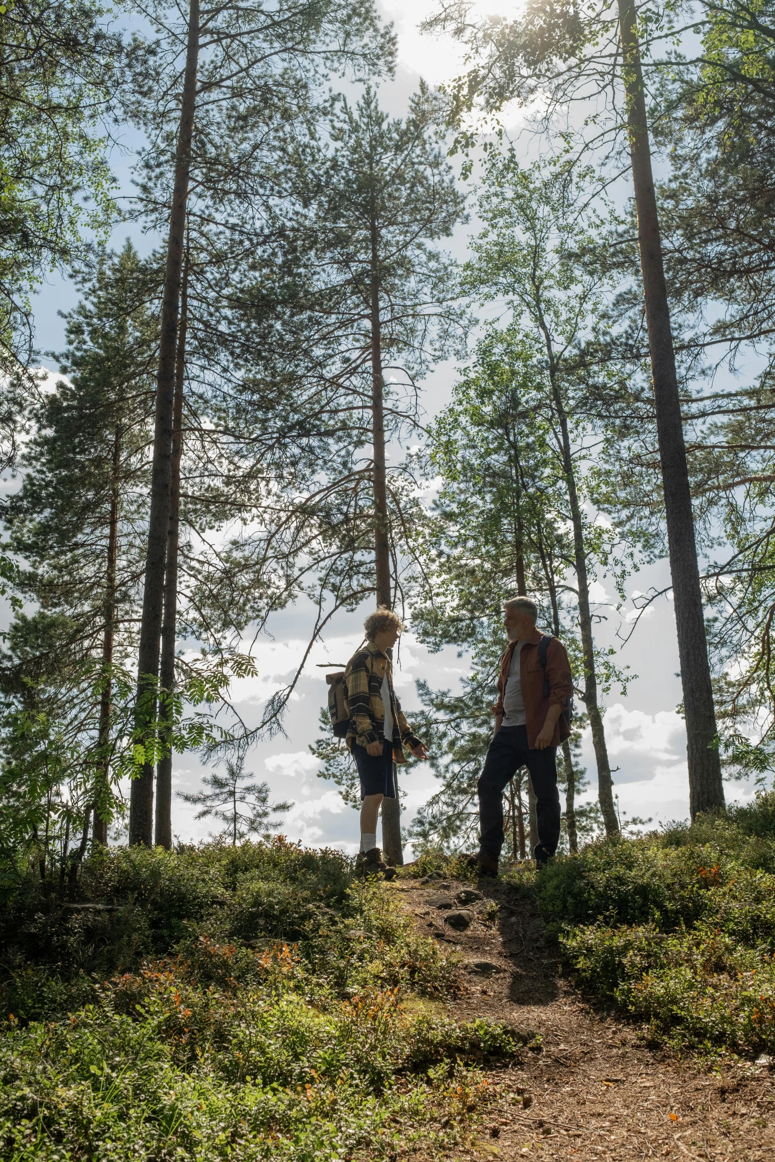 a couple of people that are standing in the woods, by Eero Järnefelt, unsplash, land art, cinema still, low angle wide shot, multiple stories, calmly conversing 8k