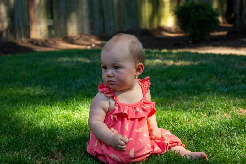 a baby in a pink dress sitting in the grass, by Matt Cavotta, pixabay contest winner, photorealism, red birthmark, captured on canon eos r 6, f / 1. 9 6. 8 1 mm iso 4 0, serious faces