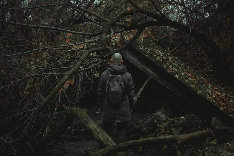 a man standing in front of a fallen tree, inspired by Elsa Bleda, pexels contest winner, spooky found footage, cyberpunk homeless, wooded environment, promo image