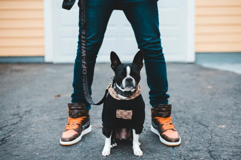 a man standing next to a black and white dog, pexels contest winner, wears brown boots, she is wearing streetwear, french bulldog, thumbnail