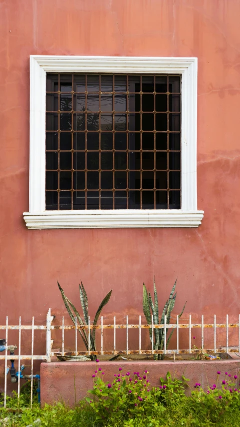 a white fire hydrant sitting in front of a building, inspired by Carlo Maderna, pexels contest winner, window sill with plants, burnt sienna and venetian red, fence, 15081959 21121991 01012000 4k