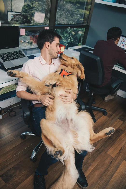 a man sitting at a desk holding a dog, pexels contest winner, hugging each other, developers, huge office, mid air shot