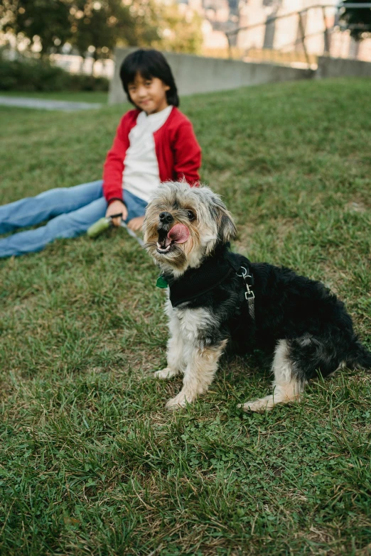 a little girl sitting in the grass with a dog, a picture, by Attila Meszlenyi, pexels contest winner, yorkshire terrier, at a park, profile image, breed corgi and doodle mix